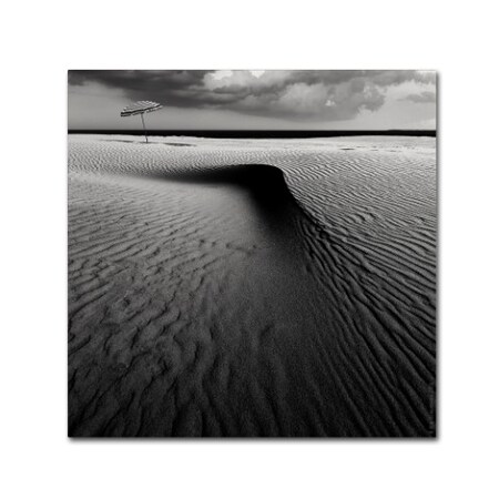 Trademark Fine Art Wim Schuurmans 'Umbrella On The Beach' Canvas Art, 18x18 1X00202-C1818GG